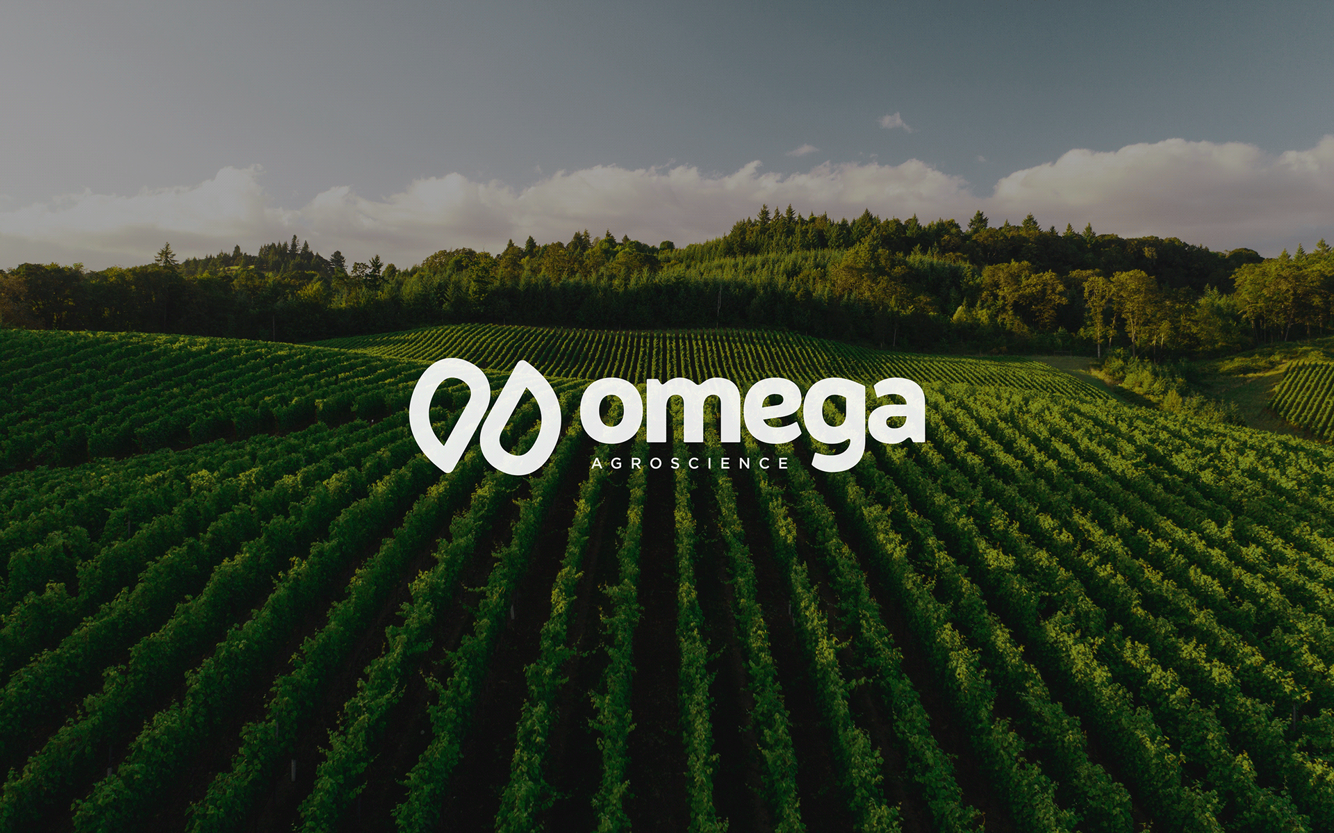 Redesenho de Identidade Visual e embalagens Omega AgroScience - A Omega AgroScience
